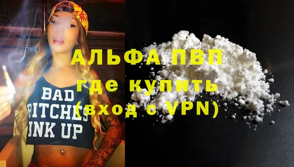 экстази Бородино
