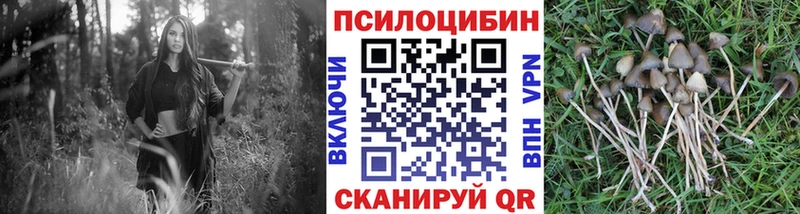 хочу наркоту Благовещенск kraken ONION Псилоцибиновые грибы мухоморы